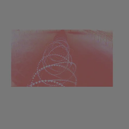 The Salamander / A Reasonable Man